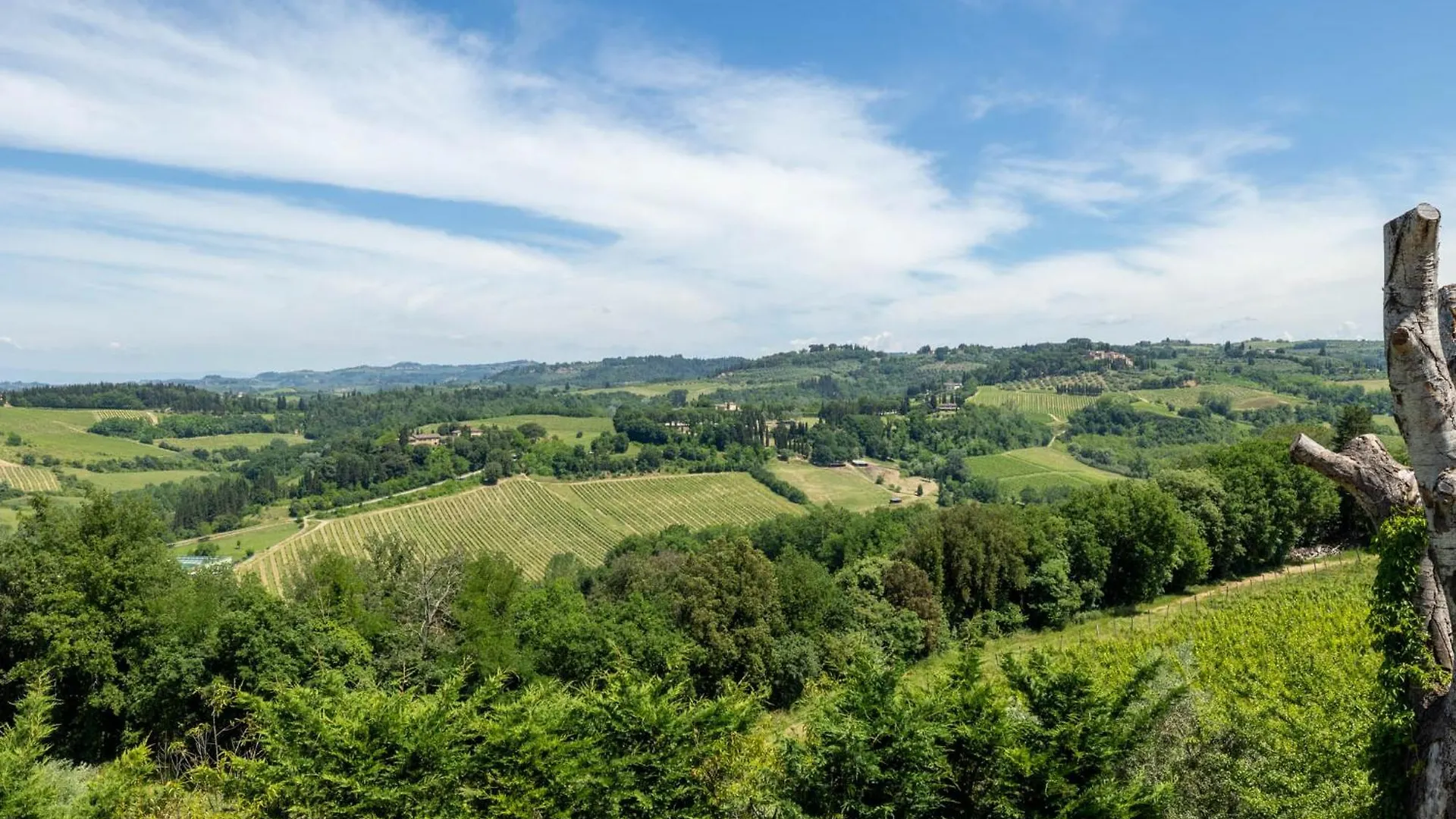 Tenuta Tegolato Barberino di Val dʼElsa